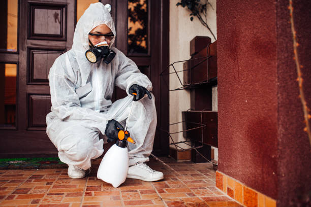 Reliable Cockroach Control contractor in Tucumcari, NM by Nex Pest Control